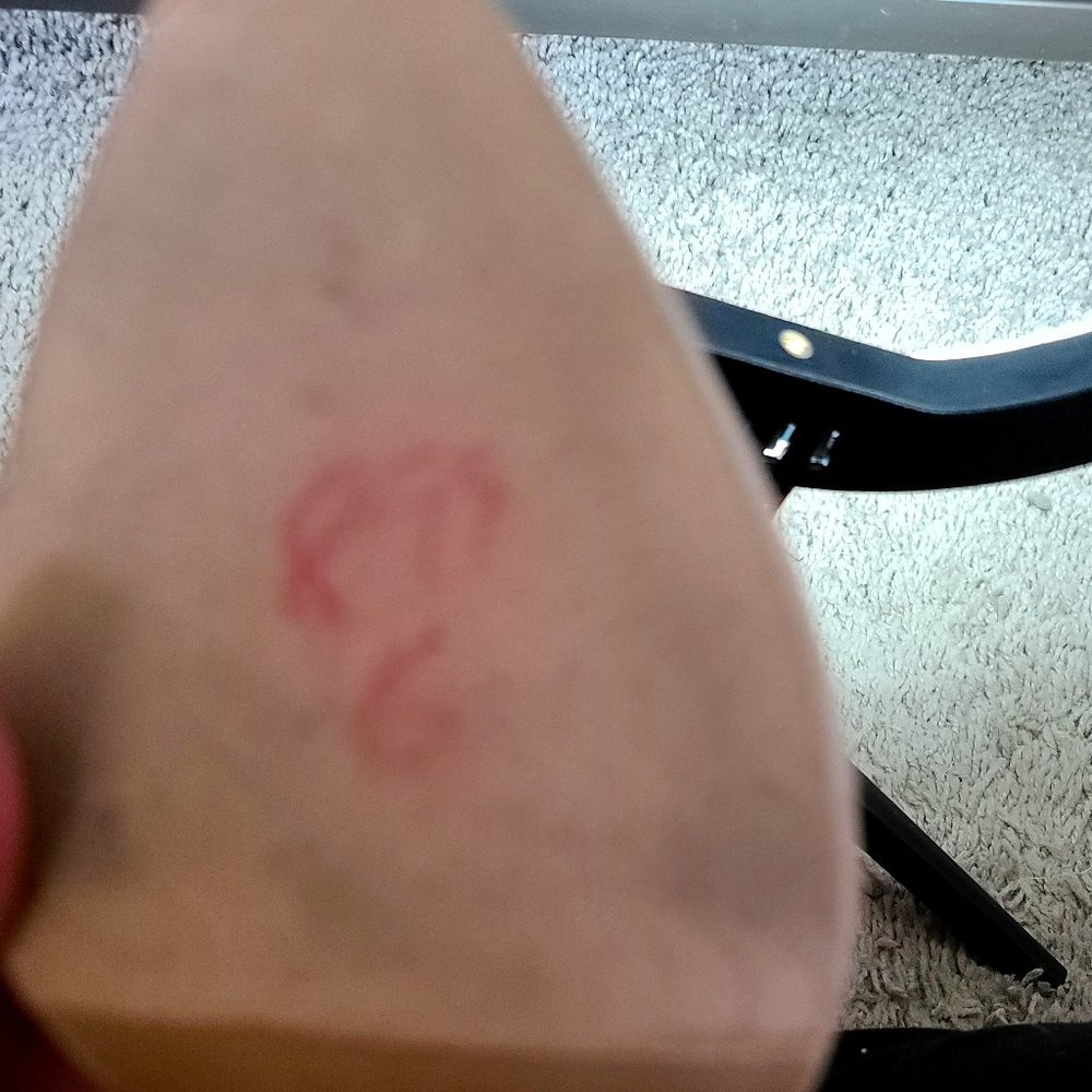 Chinese laundry heal